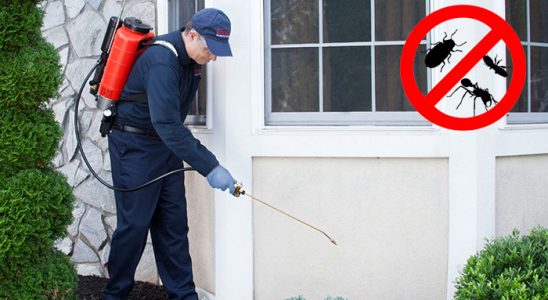 Kocaali Akrep İlaçlama böcek ilaçlama ve haşere kontrolü — ilaclama-tr.com